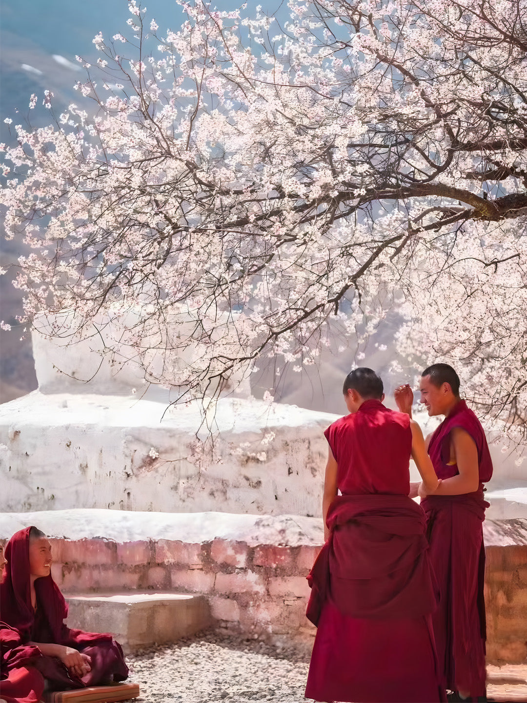 Spring in Tibet: 11-Day Peach Blossom Tour to Nyingchi, Ranwu Lake, and Lhasa