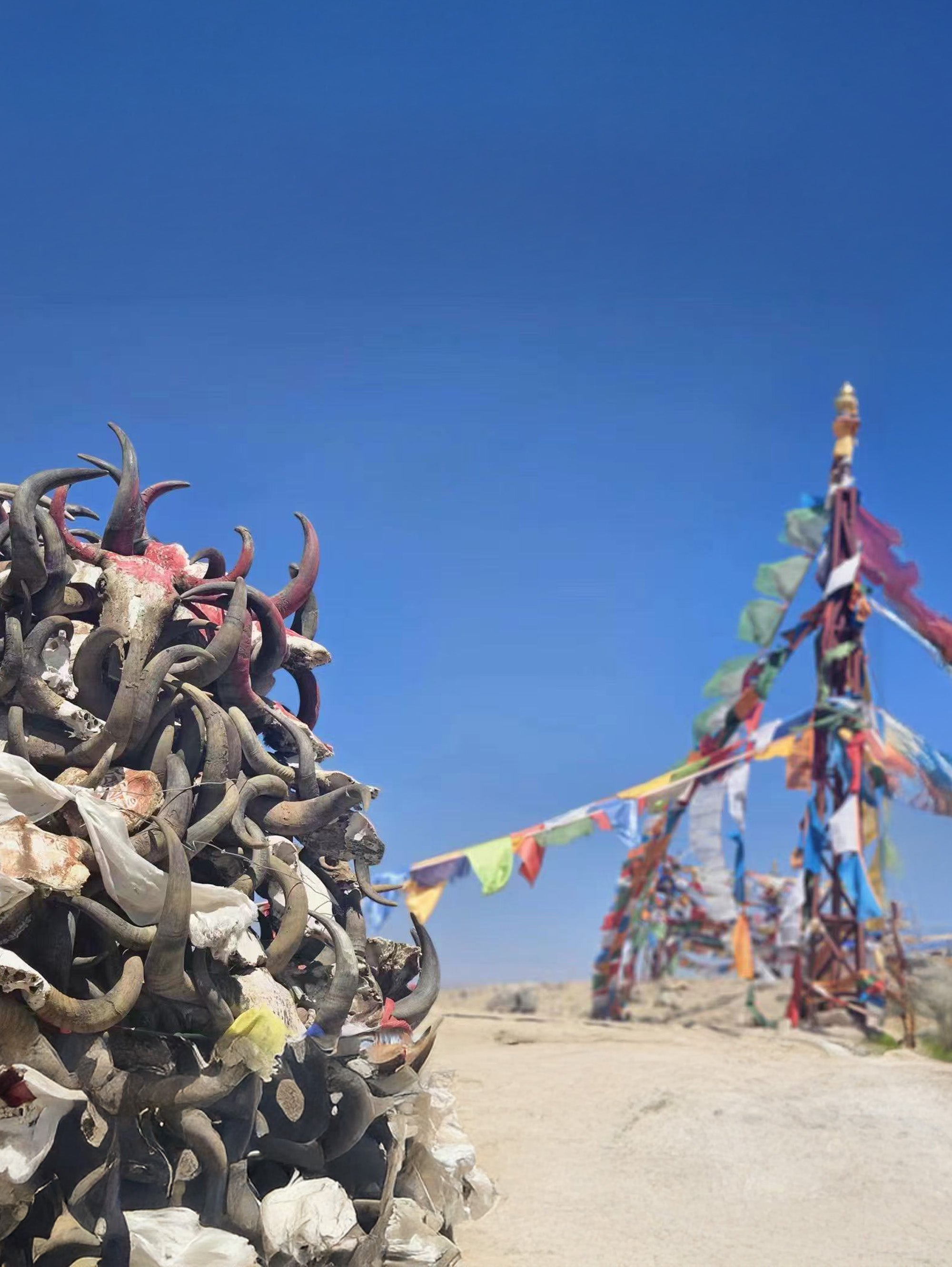 Ali Great Northern Route Crossing 20 Days Tour